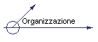 Organizzazione